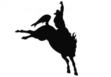 picture of Rodeo1